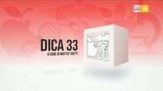 DICA 33